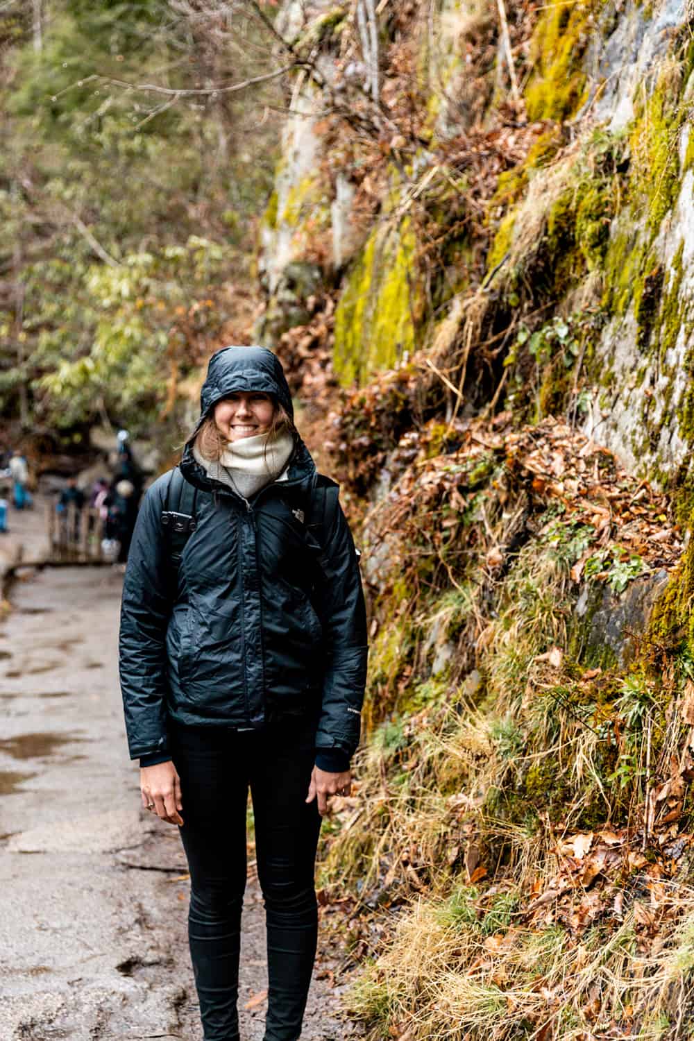 best hiks in smoky mountain national park