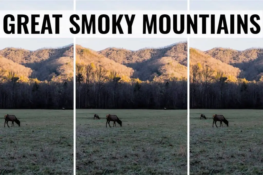 great smoky mountains things to do