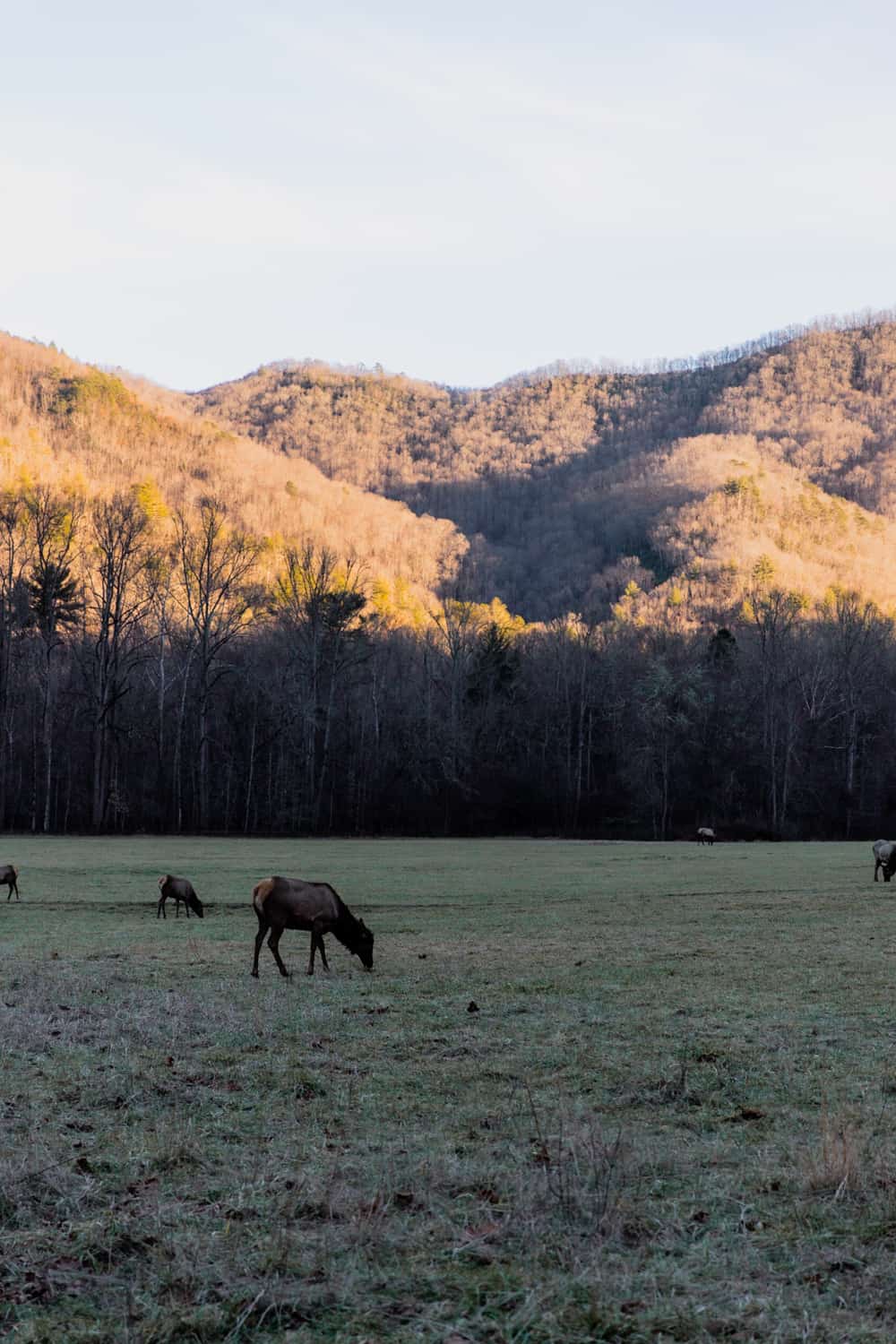 smoky mountain trails by difficulty