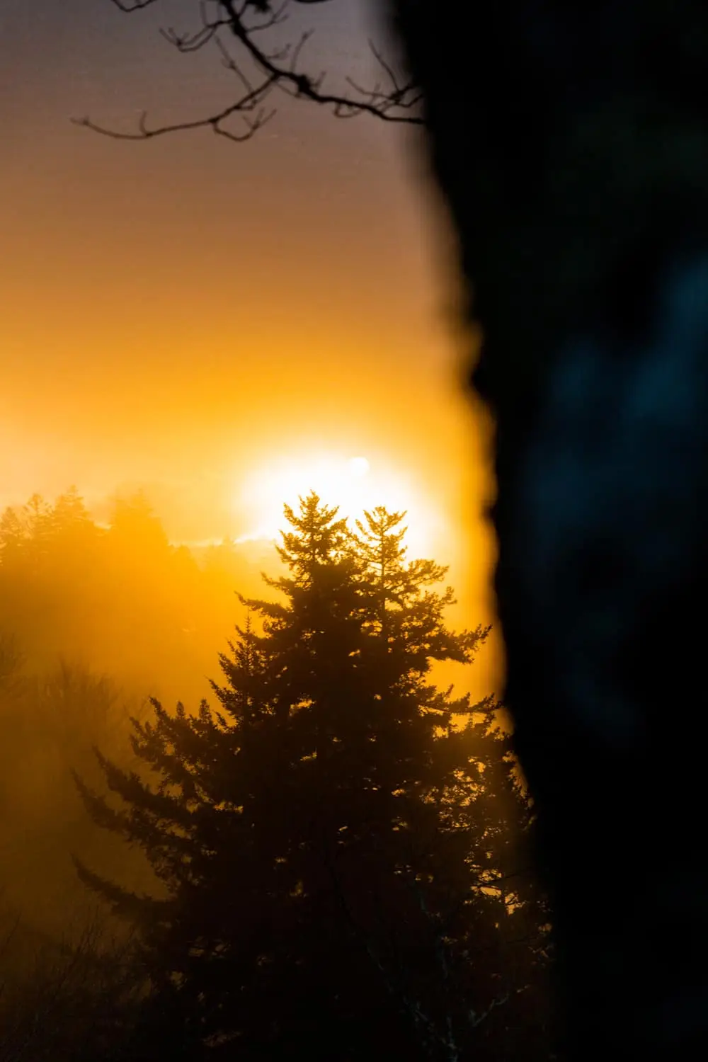 things to do in smoky mountains in the summer