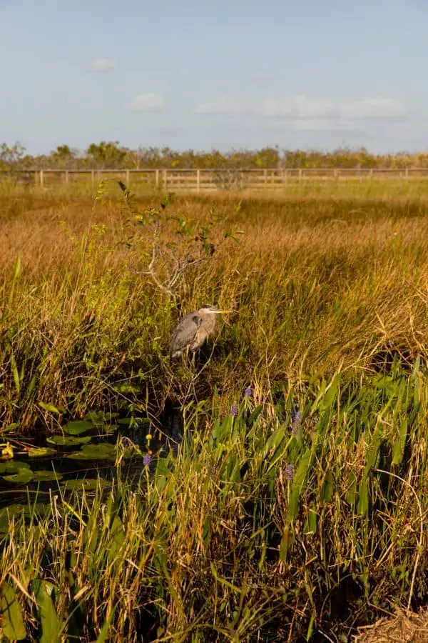 best national parks in florida for hiking